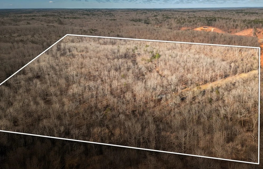 Winona Pioneer Point featured image