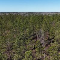 Pickens County 215 - Recreational Tract images 3