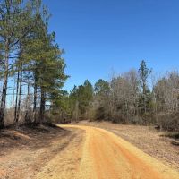 Pickens County 215 - Recreational Tract images 4
