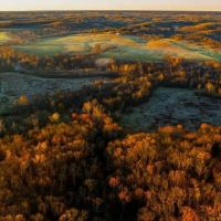 Working Cattle Farm With Live Water Infrastructure And Recreational Opportunities Near Springfield And Marshfield images 5