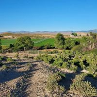 Owyhee Angus Ranch images 2