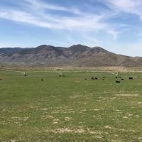Hat Springs Ranch