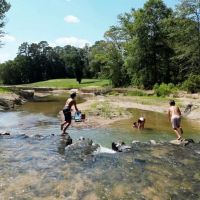Hunting Lodge with Waterfall in Wilkinson County MS images 5