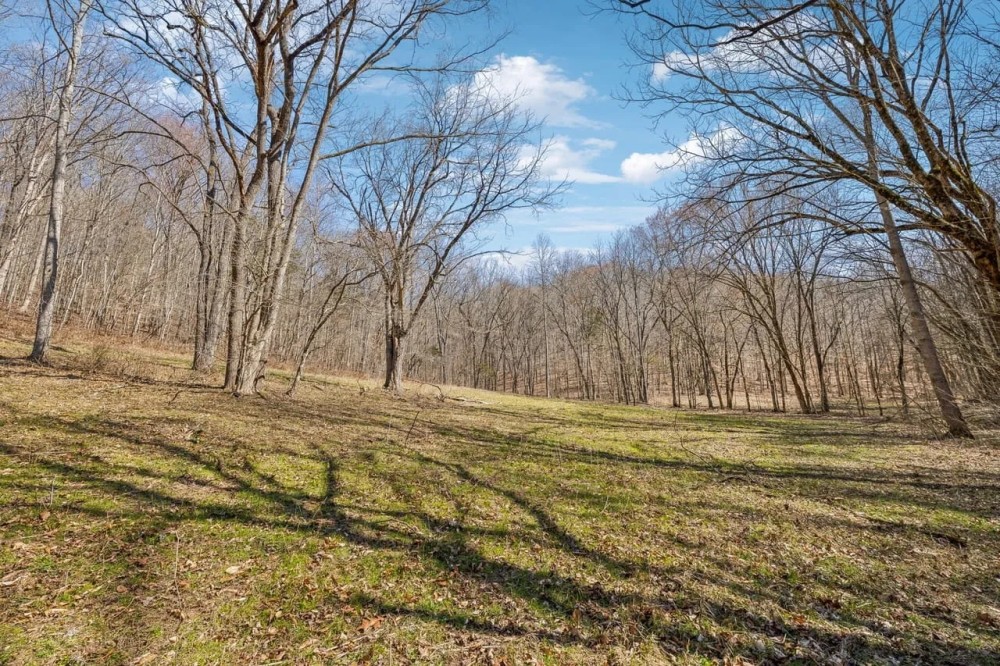 160.5 Acres in Clay County Tennessee Excellent Hunting Recreational Property featured image