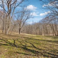 160.5 Acres in Clay County Tennessee Excellent Hunting Recreational Property