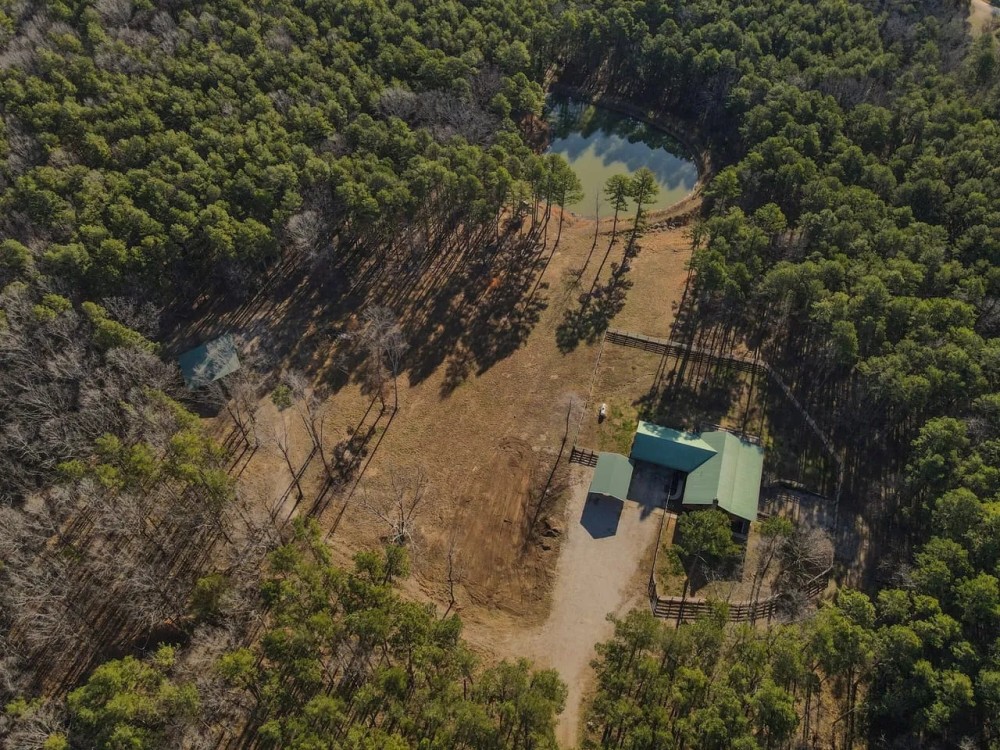4 Bed 3 Bath Home on 37 - Acres in Carter Co. featured image