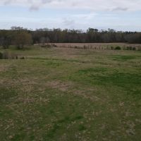 Prime 24 - Acre Property in West Lincoln School District images 3