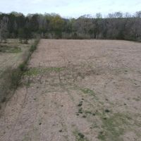 Prime 24 - Acre Property in West Lincoln School District images 5