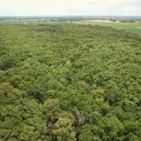 99 Acres in Sunflower County in Shaw MS