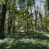 99 Acres in Sunflower County in Shaw MS images 5