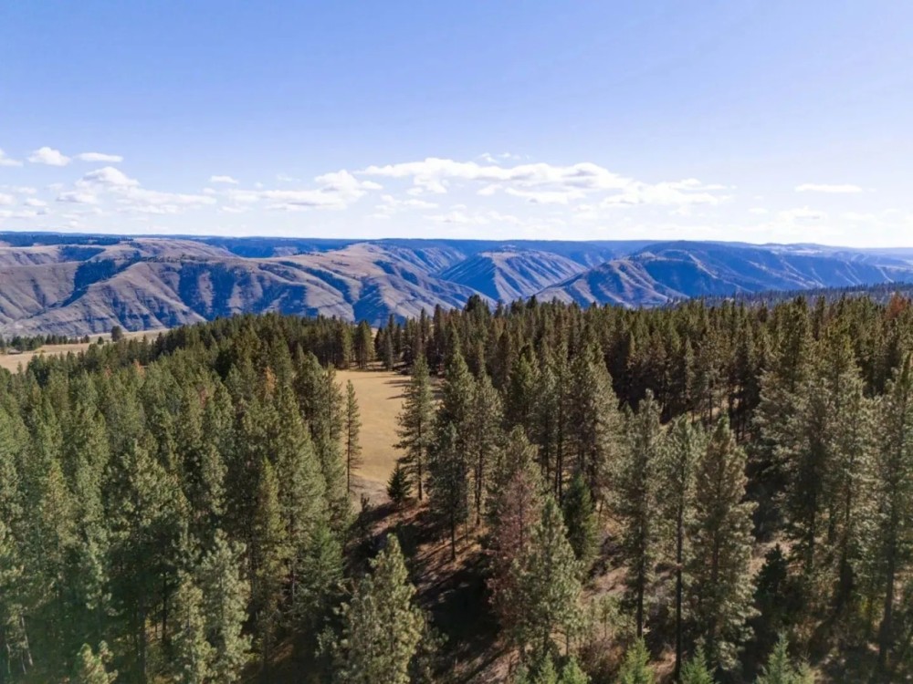 Hansen Ridge Ranch featured image