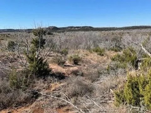 New Listing 75 Acres Taylor County featured image