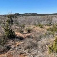 New Listing 75 Acres Taylor County images 1