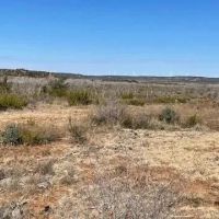 New Listing 75 Acres Taylor County images 2