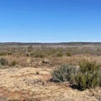 New Listing 75 Acres Taylor County images 3
