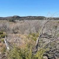 New Listing 75 Acres Taylor County images 4
