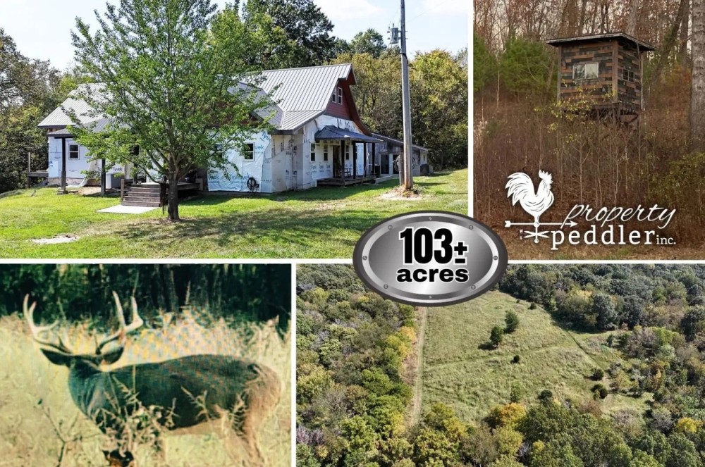 566 103 Acres clean woods with trails food plot area The start of a home with outbuildings featured image