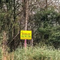 11 Acres A7 FM 2937 images 5