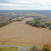 Prime North Carolina Tillable Farmland with Mature Hardwood Stand images 1