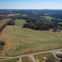 Prime North Carolina Tillable Farmland with Mature Hardwood Stand images 2
