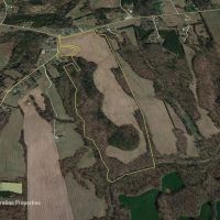 Prime North Carolina Tillable Farmland with Mature Hardwood Stand images 3