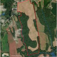 Prime North Carolina Tillable Farmland with Mature Hardwood Stand images 4