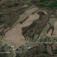 Prime North Carolina Tillable Farmland with Mature Hardwood Stand images 5