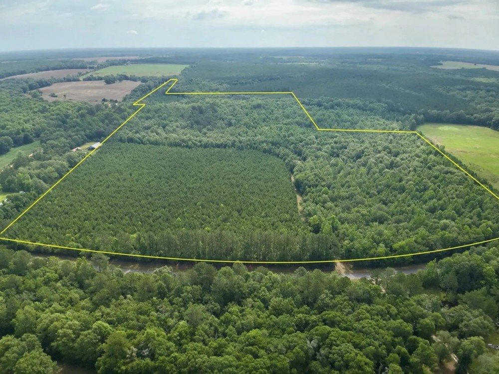 87-Acres of Hunting Land in Bonifay FL for Sale featured image