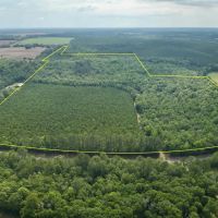 87-Acres of Hunting Land in Bonifay FL for Sale