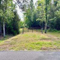 87-Acres of Hunting Land in Bonifay FL for Sale images 2