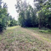 87-Acres of Hunting Land in Bonifay FL for Sale images 3