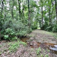 87-Acres of Hunting Land in Bonifay FL for Sale images 4