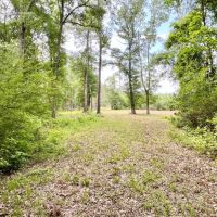 87-Acres of Hunting Land in Bonifay FL for Sale images 5