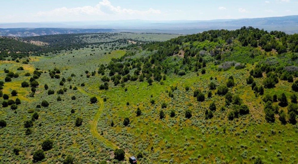 Maybell Grazing Big Game Ranch featured image