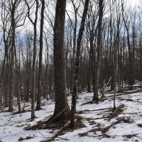 Keating Mountain Masterpiece images 3