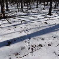 Keating Mountain Masterpiece images 4
