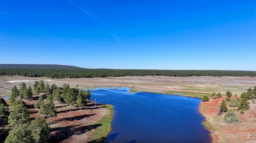 Cottonwood Gulch Ranch featured image