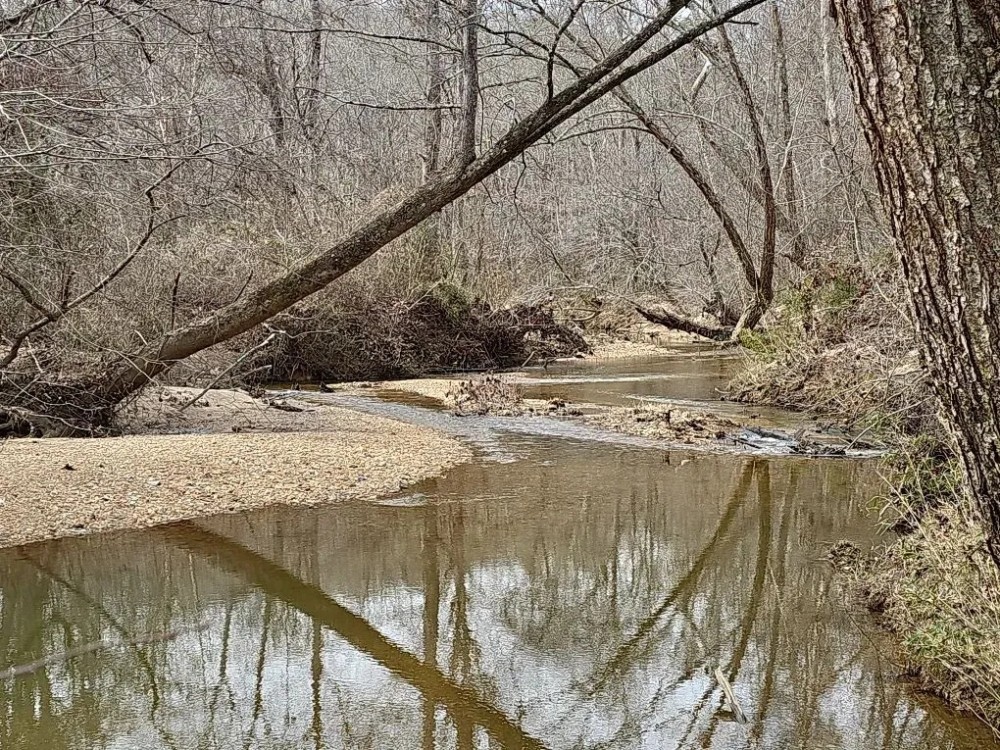 20 Secluded Acres with a Creek featured image