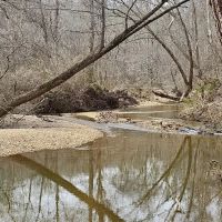 20 Secluded Acres with a Creek