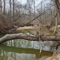 20 Secluded Acres with a Creek images 2