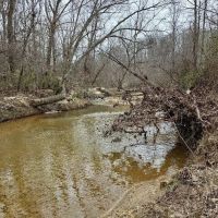 20 Secluded Acres with a Creek images 3