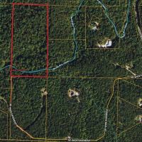 20 Secluded Acres with a Creek images 4