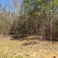5 - Acre Wooded Retreat in Northeastern Amite County MS