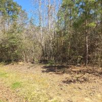 5 - Acre Wooded Retreat in Northeastern Amite County MS images 3