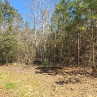 5 - Acre Wooded Retreat in Northeastern Amite County MS images 4