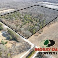 30 - ACRES 700 E GROVERTOWN IN STARKE COUNTY LOT LAND FOR SALE