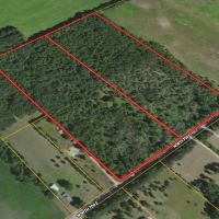 30 - ACRES 700 E GROVERTOWN IN STARKE COUNTY LOT LAND FOR SALE images 5