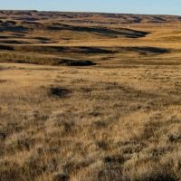 Struck Creek Ranch images 2