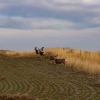 Struck Creek Ranch images 3
