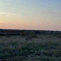 Texas Hunting Land in Sutton County for Sale